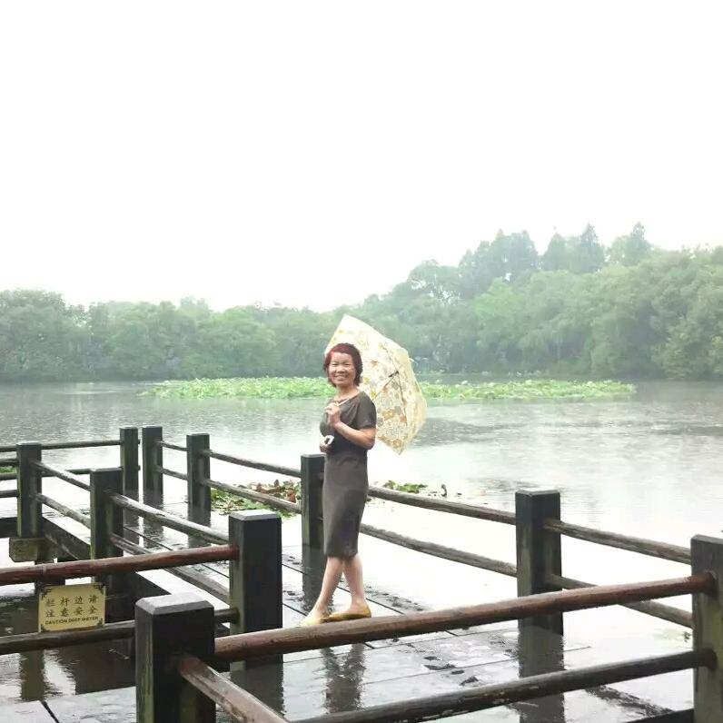 小小智慧树