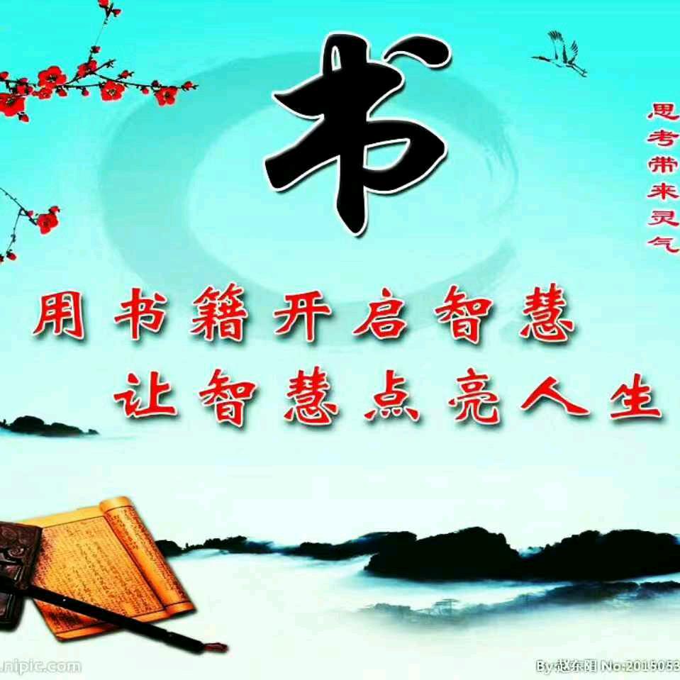 宝哥