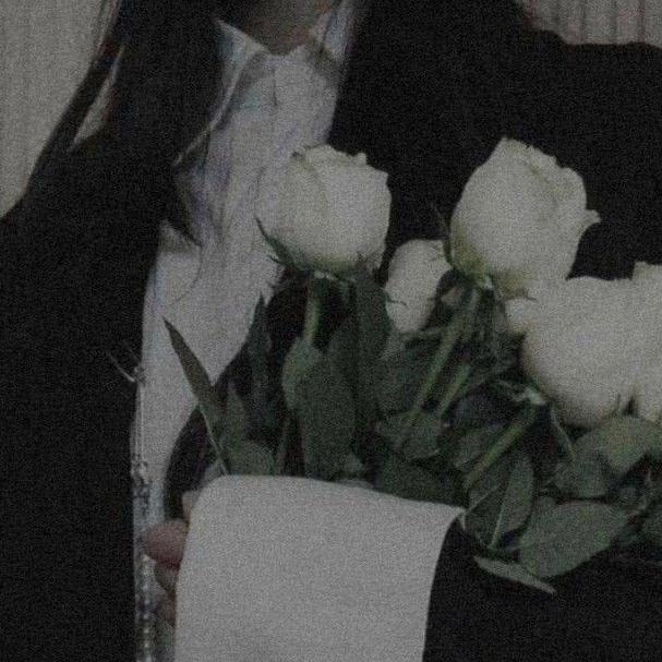 后花园✨