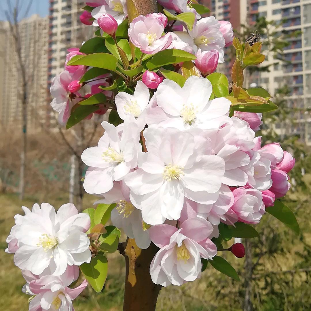 悠然自得
