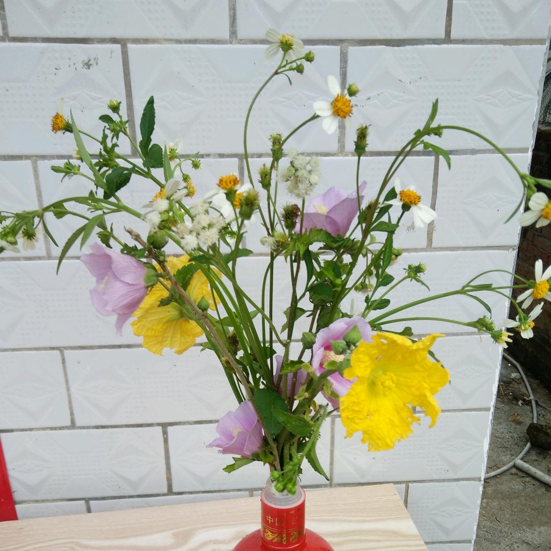 秀花制衣厂