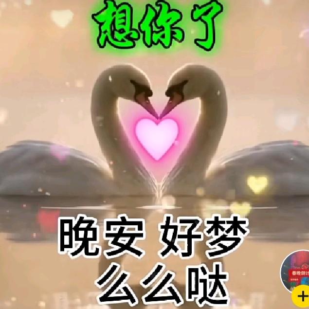开心快乐