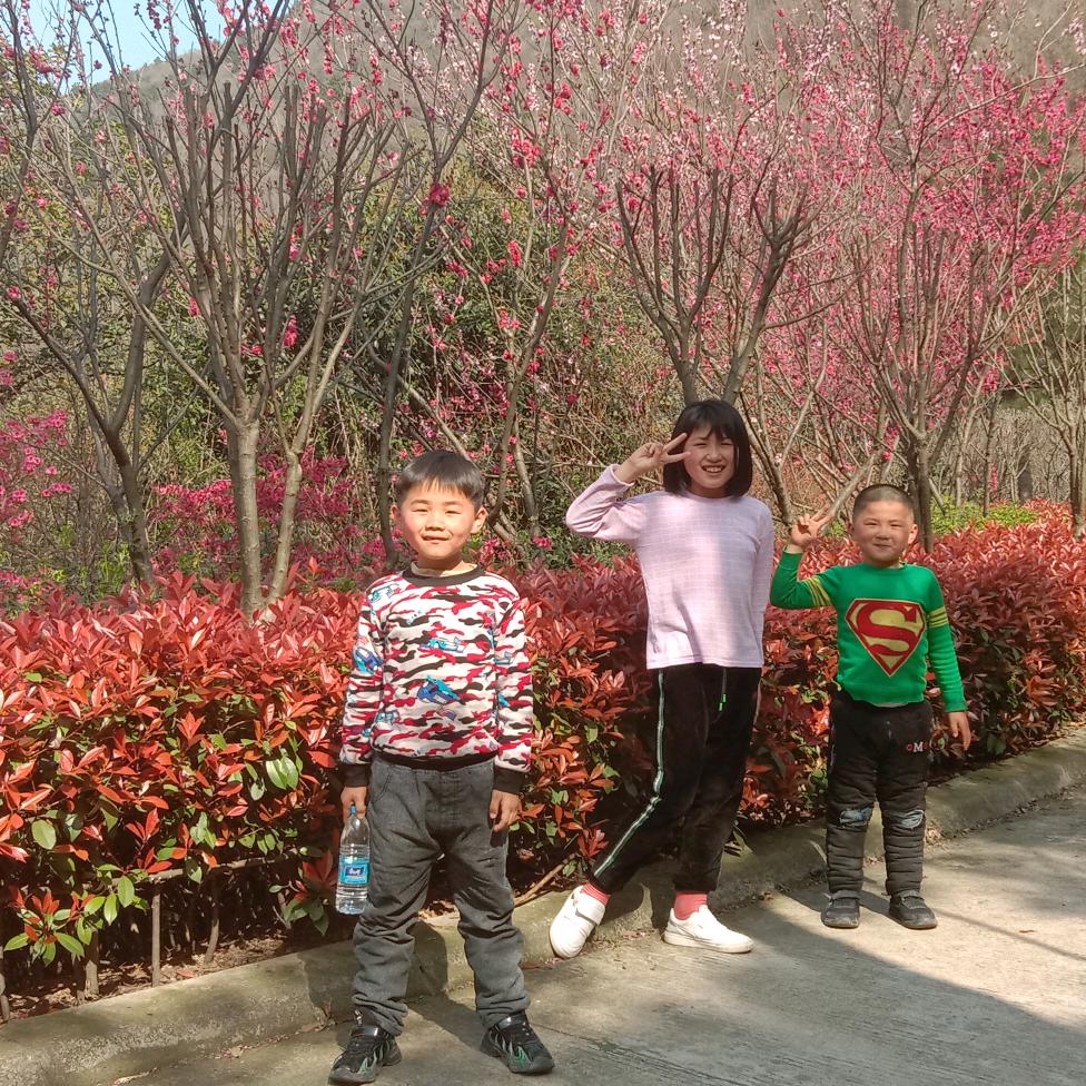 我家三个宝