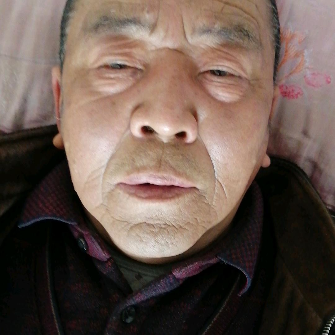 老虎的虎虎树山林我的名字，秦志堂