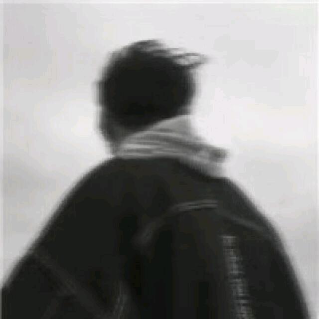 借月