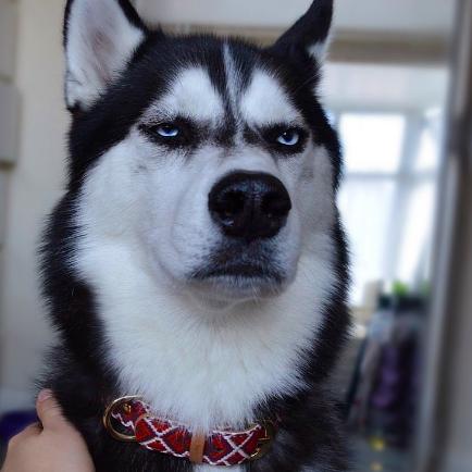 看见远处的微光