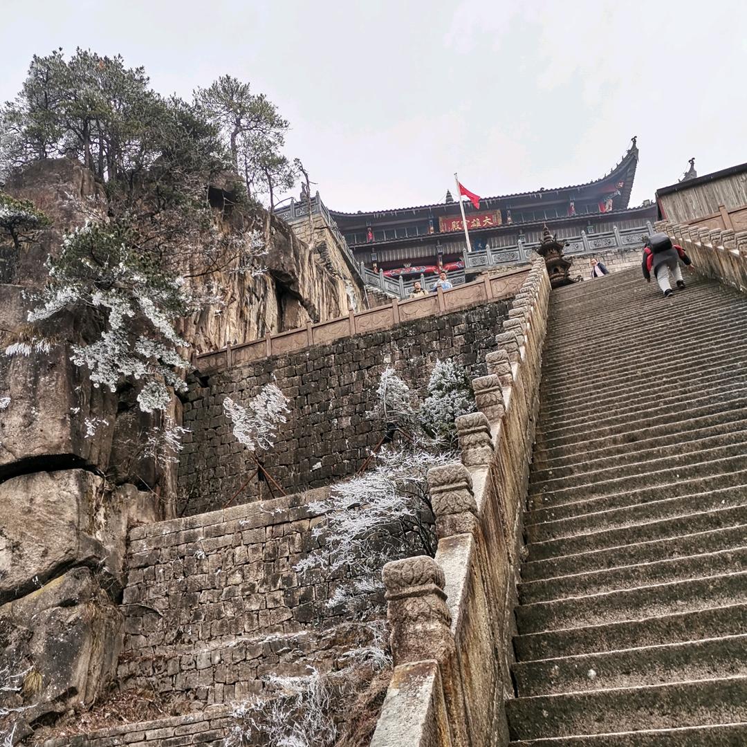 福姐来了