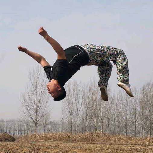 巨熊空翻武术