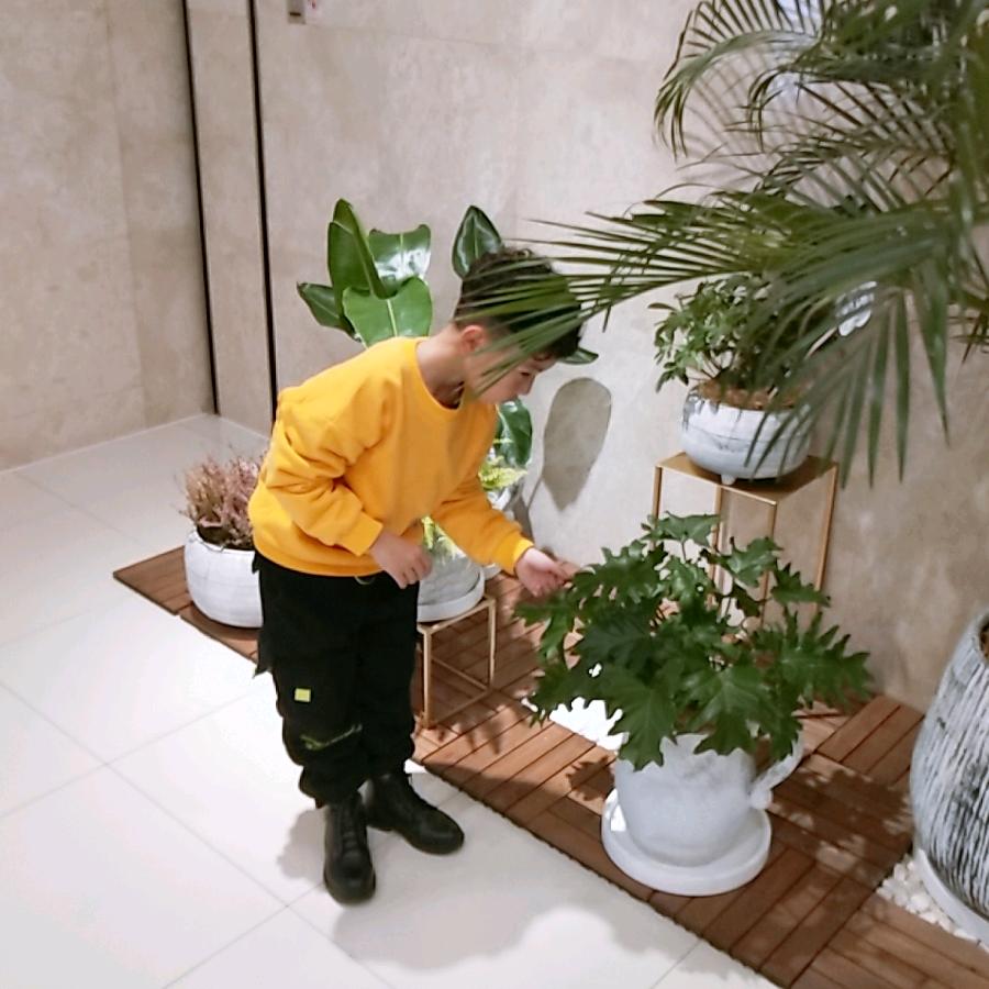 程程