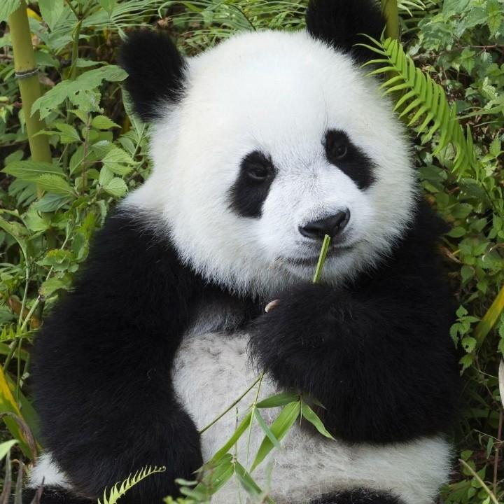 从前的浪子一一