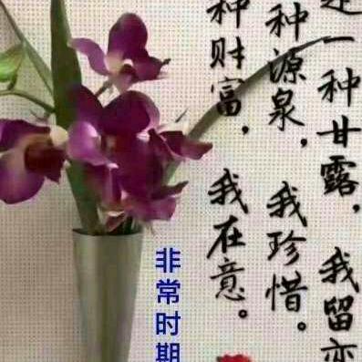 @姐姐的坚强~你不懂