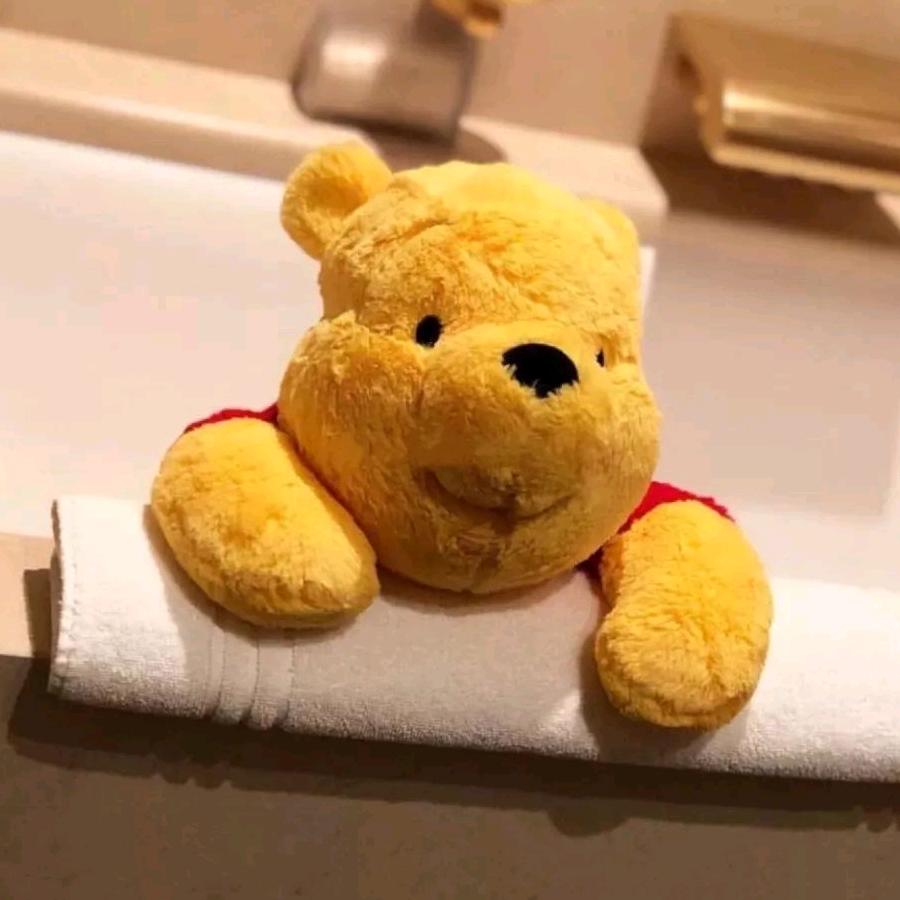 _水苏