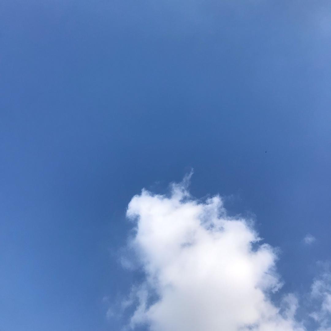 忘却