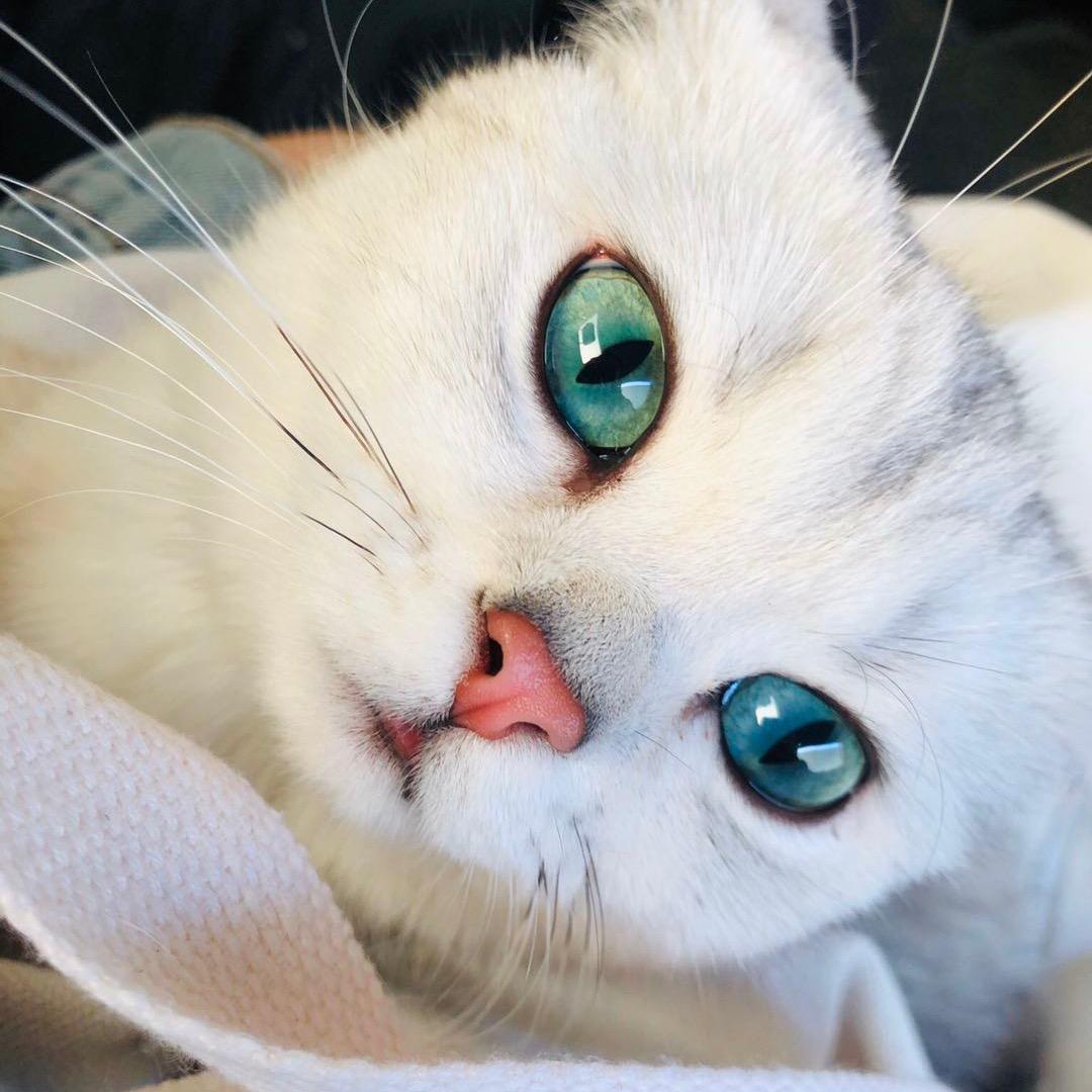 红豆美甲美睫官方号