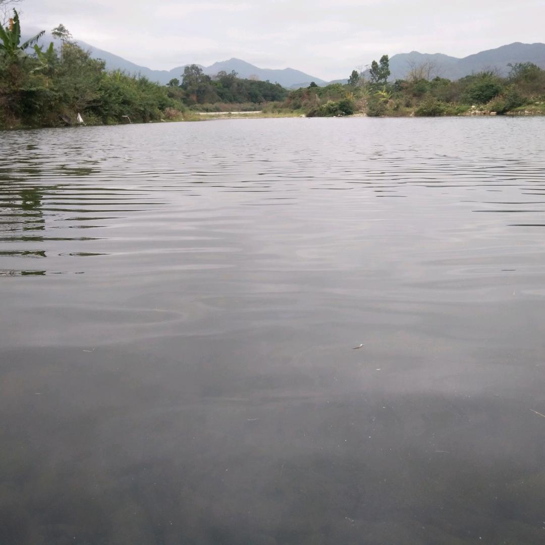 谢陈陈