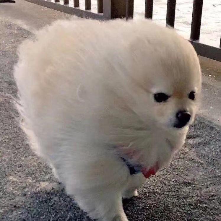 HenryLiu
