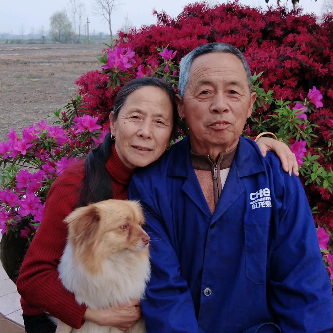幸福两老