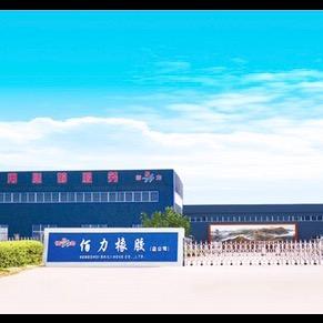 佰力橡胶