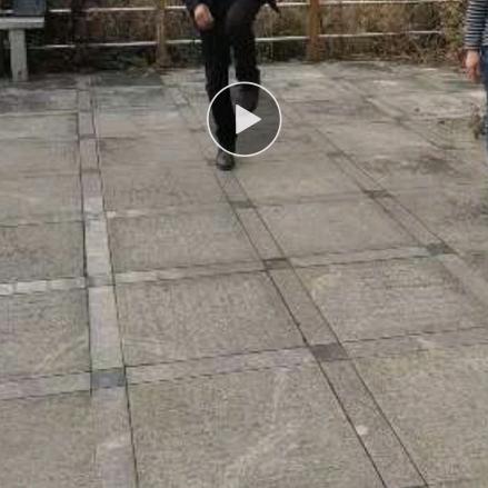 视求