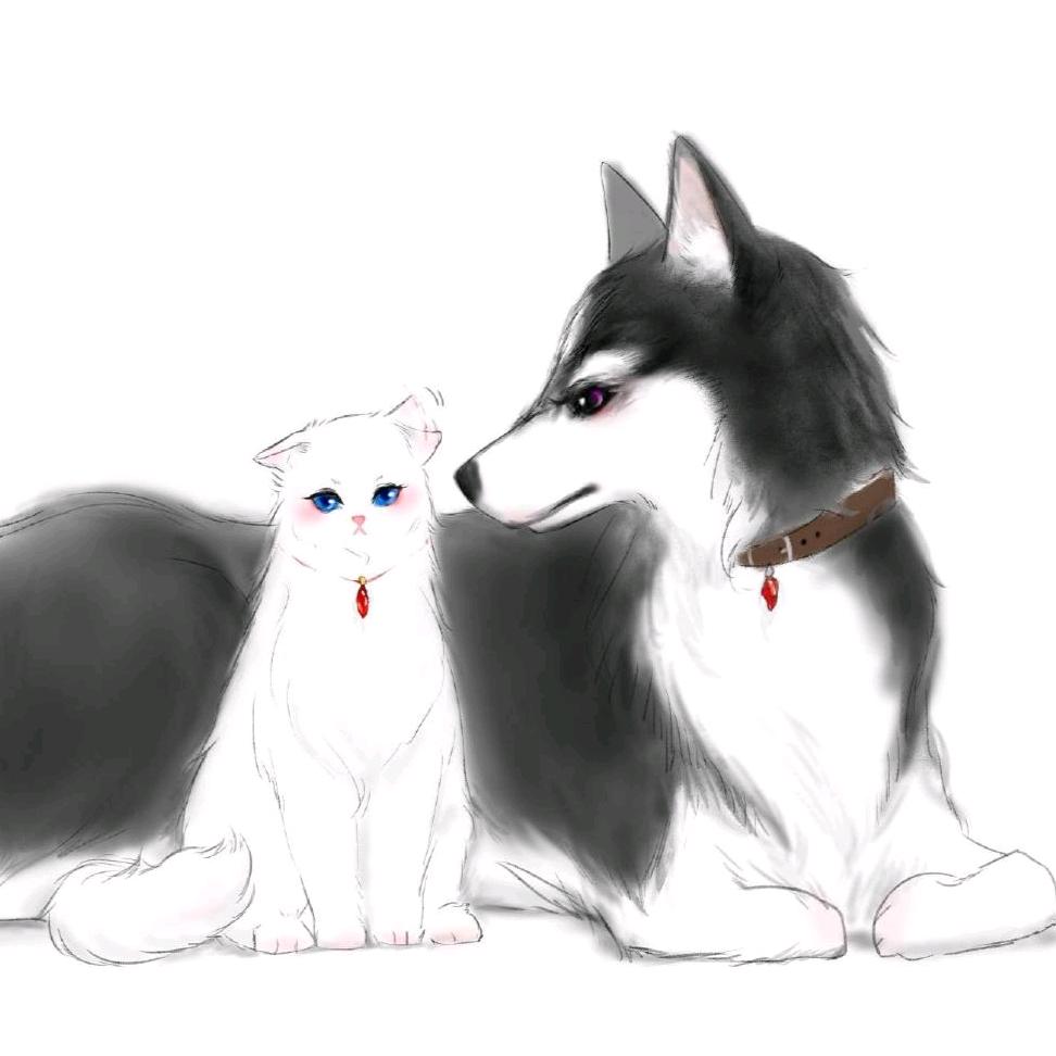 馋猫饿犬