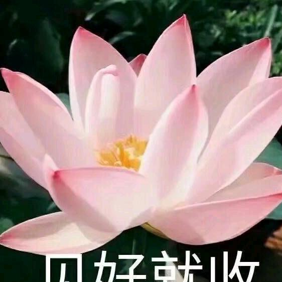 wjy咖啡加糖 拒绝私聊