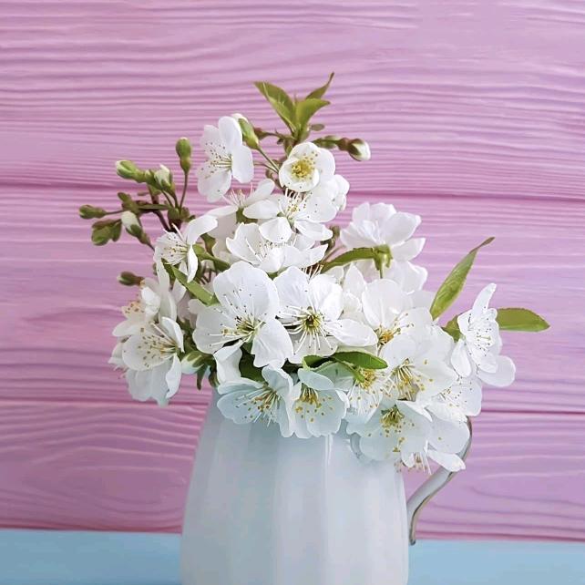 🍀知足常乐🍀（拒私聊）