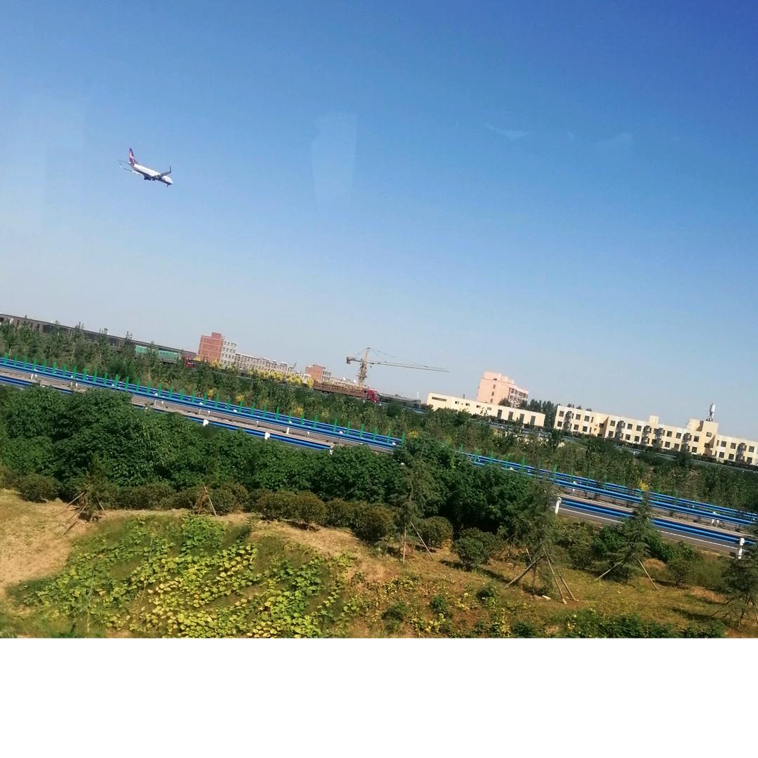 豫东徐来