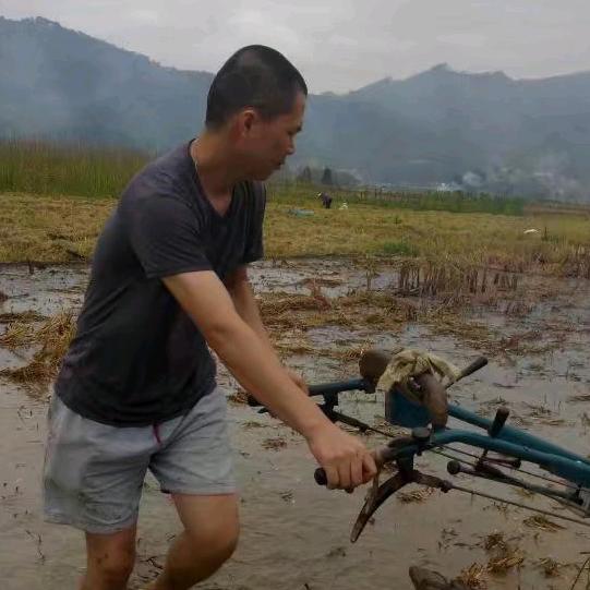 伟小弟