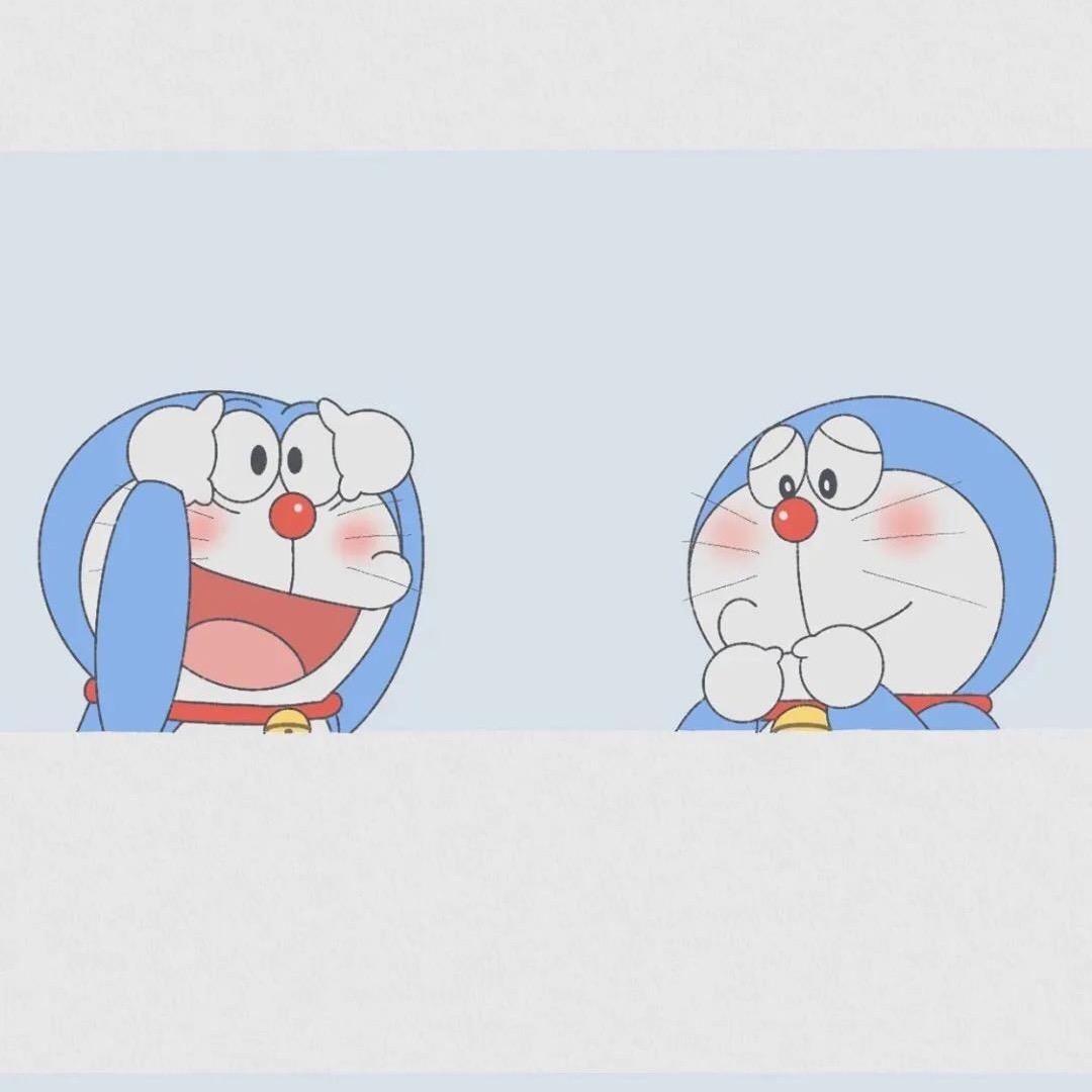 🌈小糯米  团子🌈