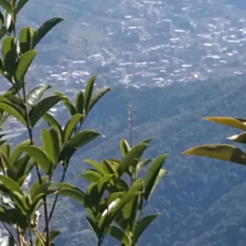 农家土特产