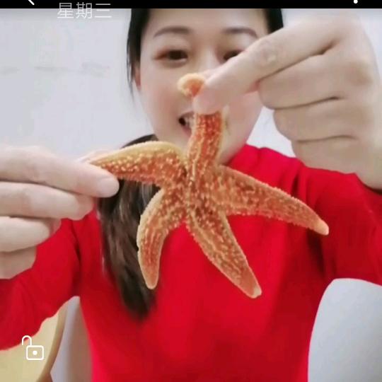 海边馋猫