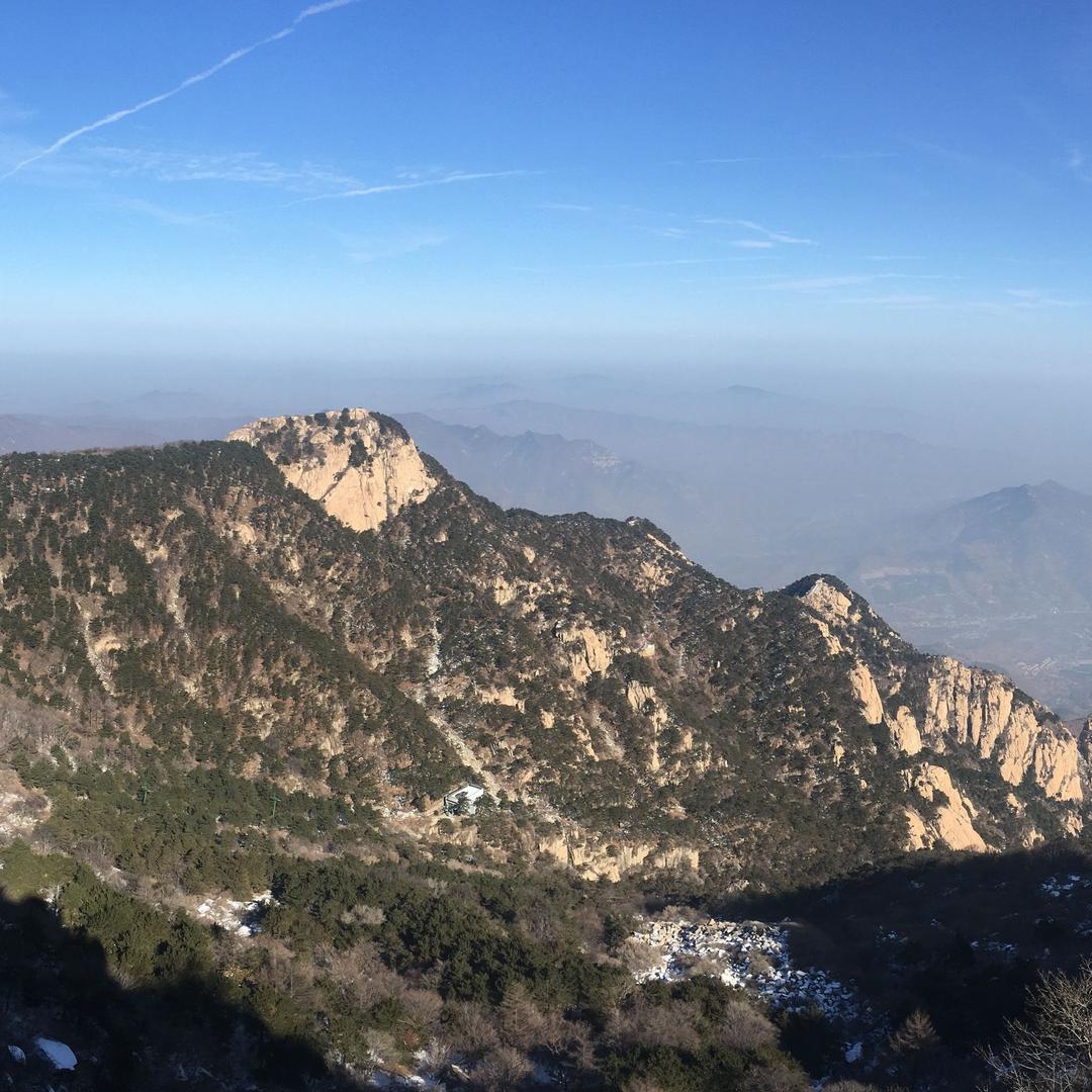 城乡混血儿