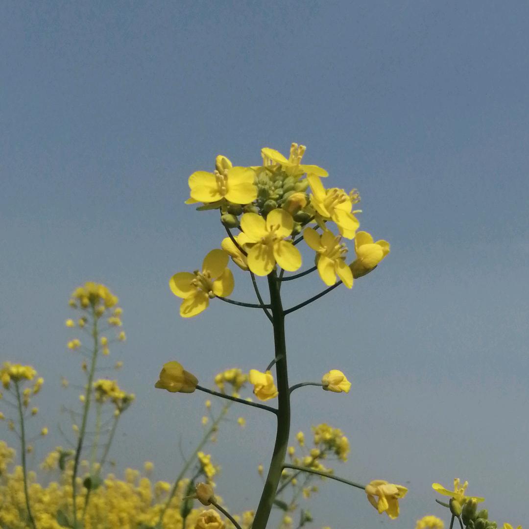 洪湖市新滩镇盛通汽车保养维修中心