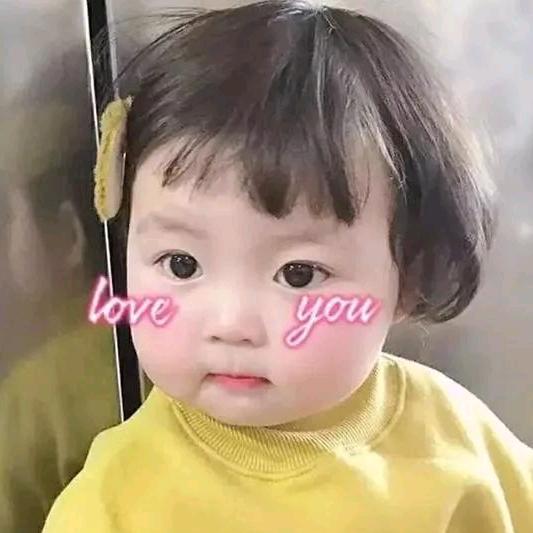 o(´^｀)o小豬傻蛋