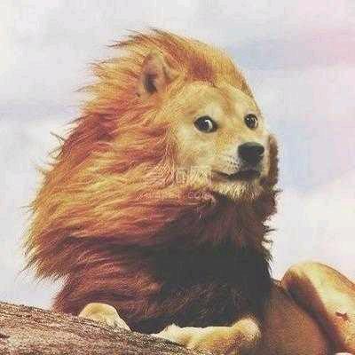 东边来的胖子