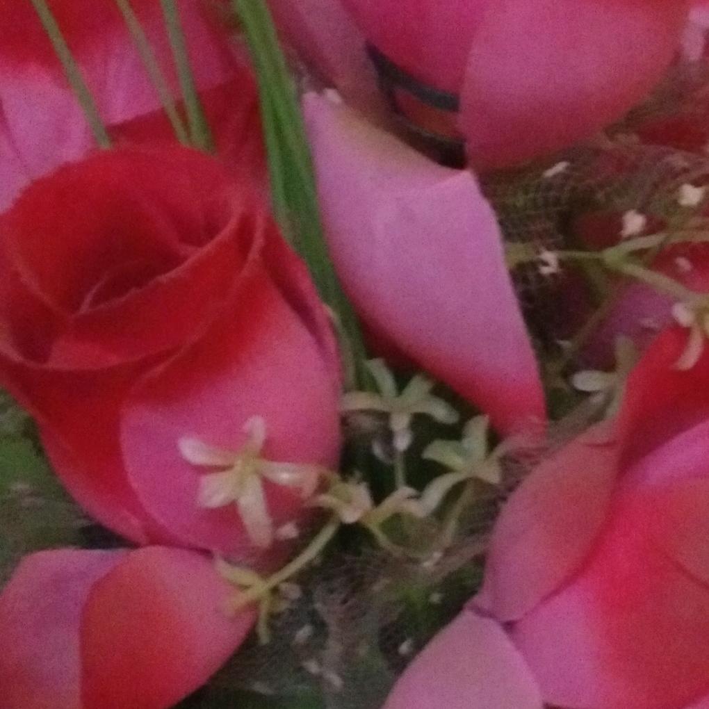 腊梅花🌸