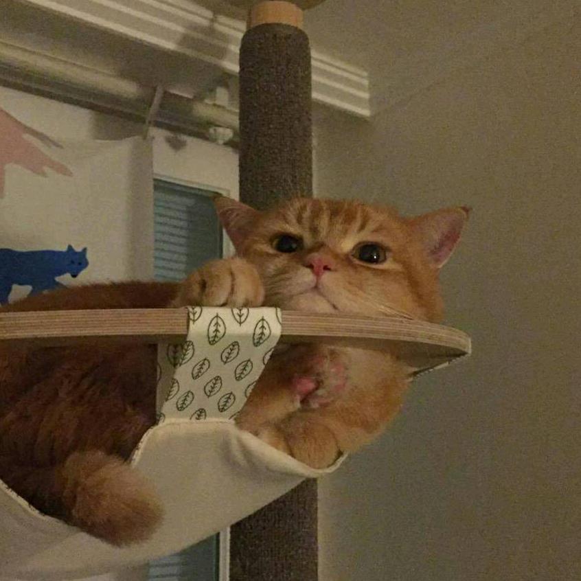 起风了～