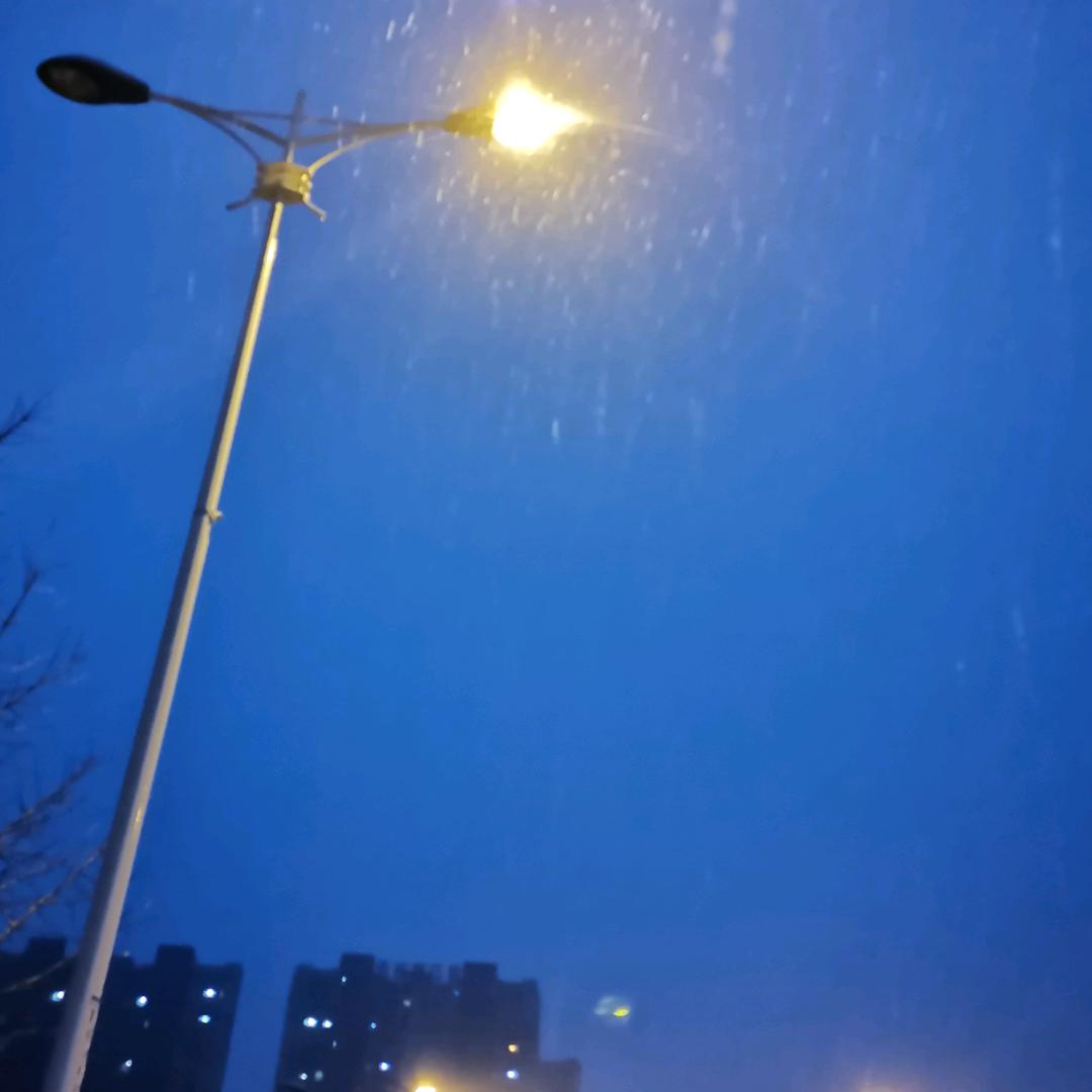 柒柒和有有的奶奶