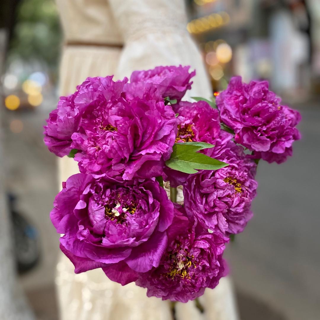 临沧爱尚美鲜花李祖荣