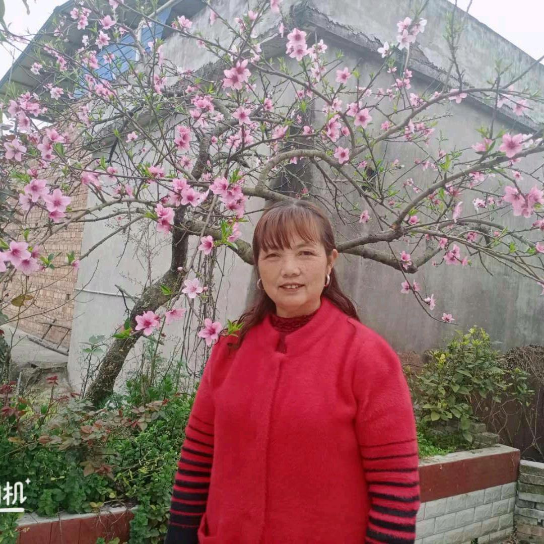 素芳