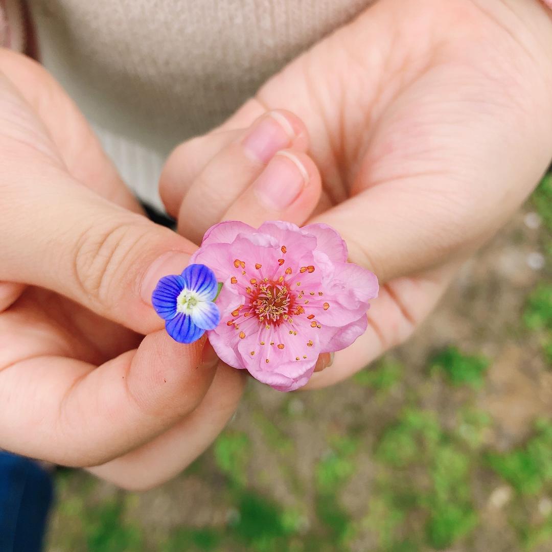 停止的呼吸我不会痛  