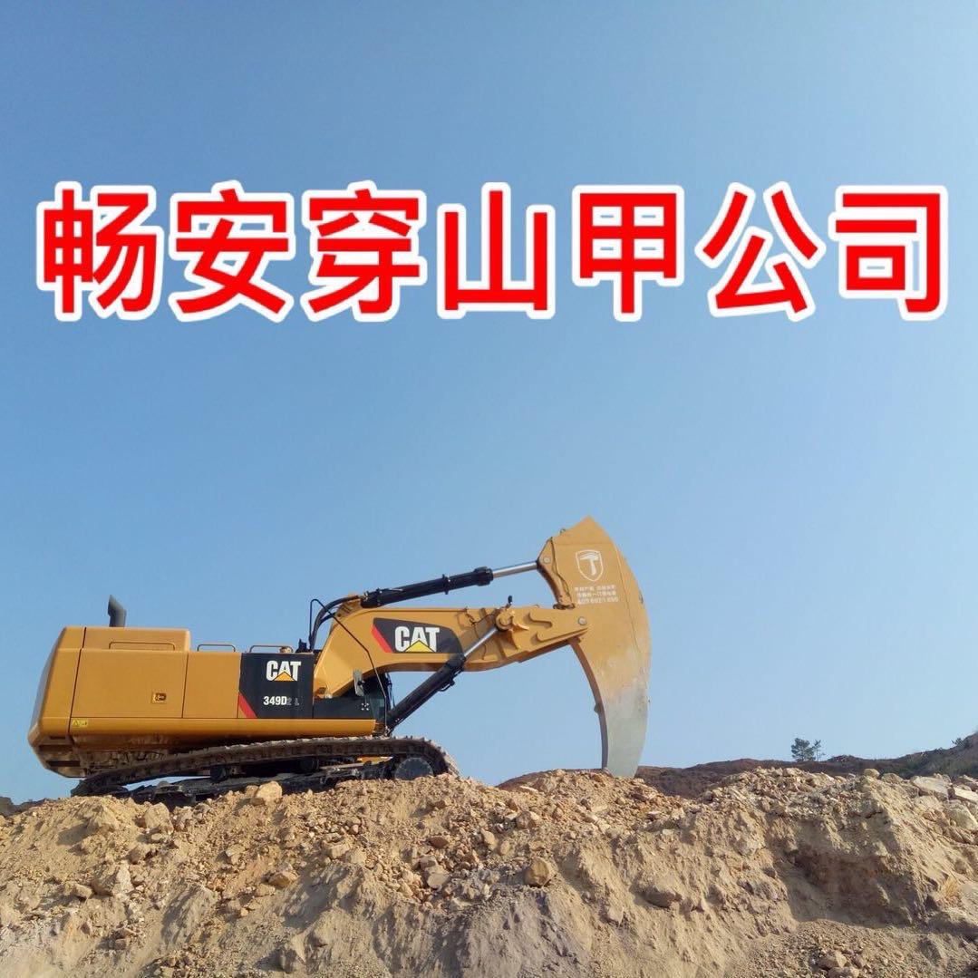 四川畅安穿山甲科技有限公司