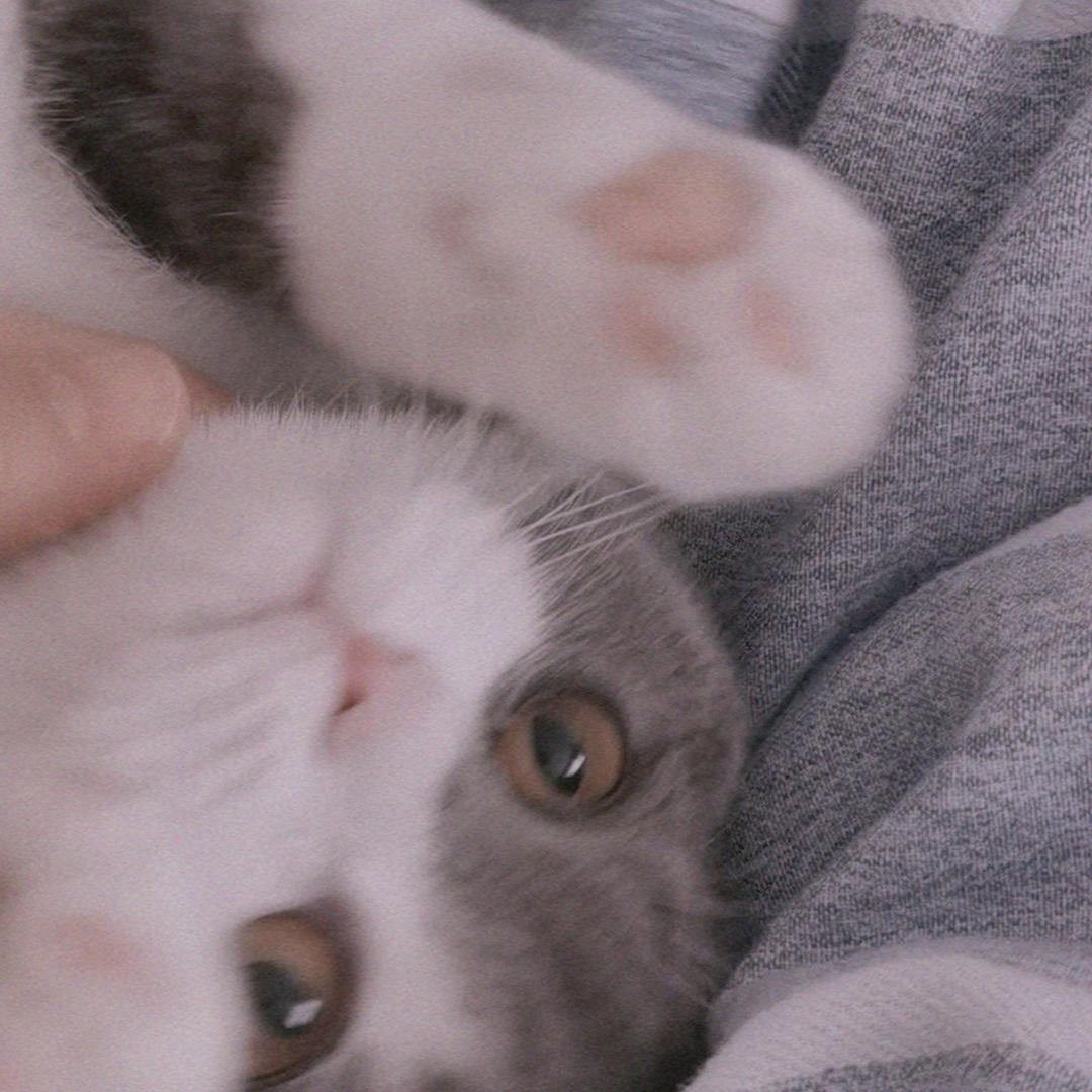 贝贝💕