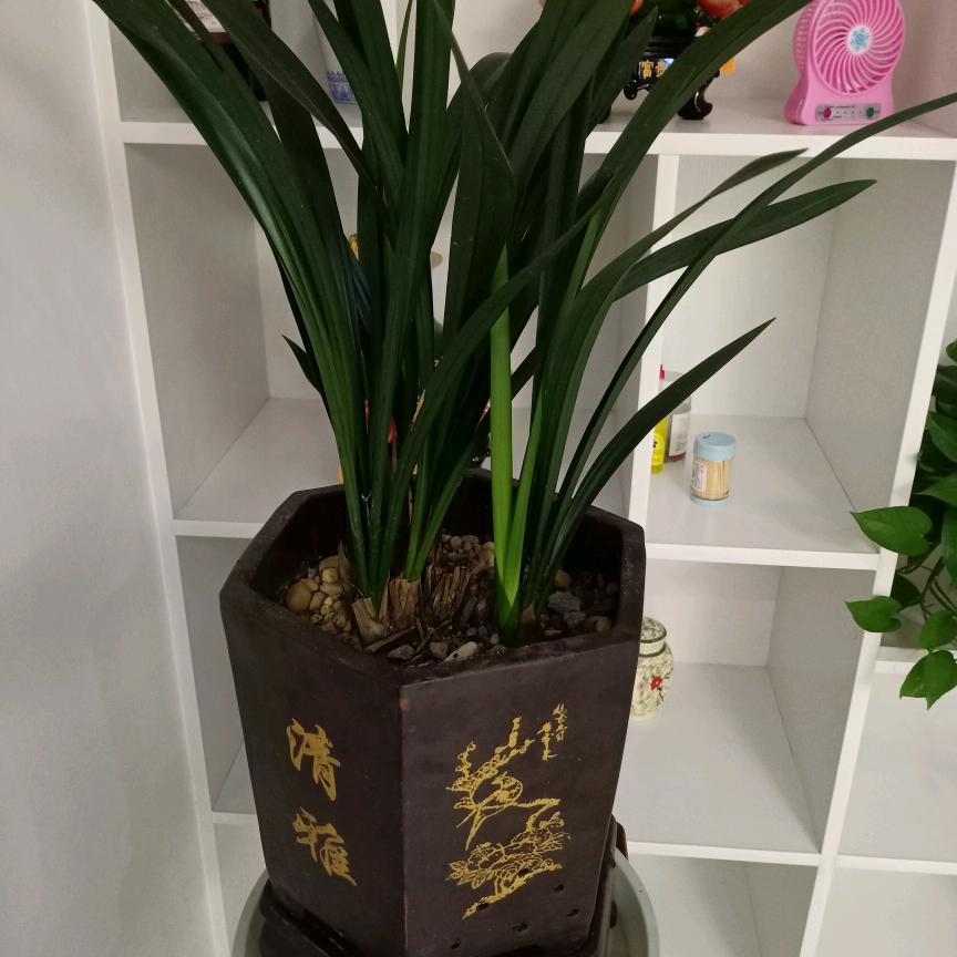 @兵哥