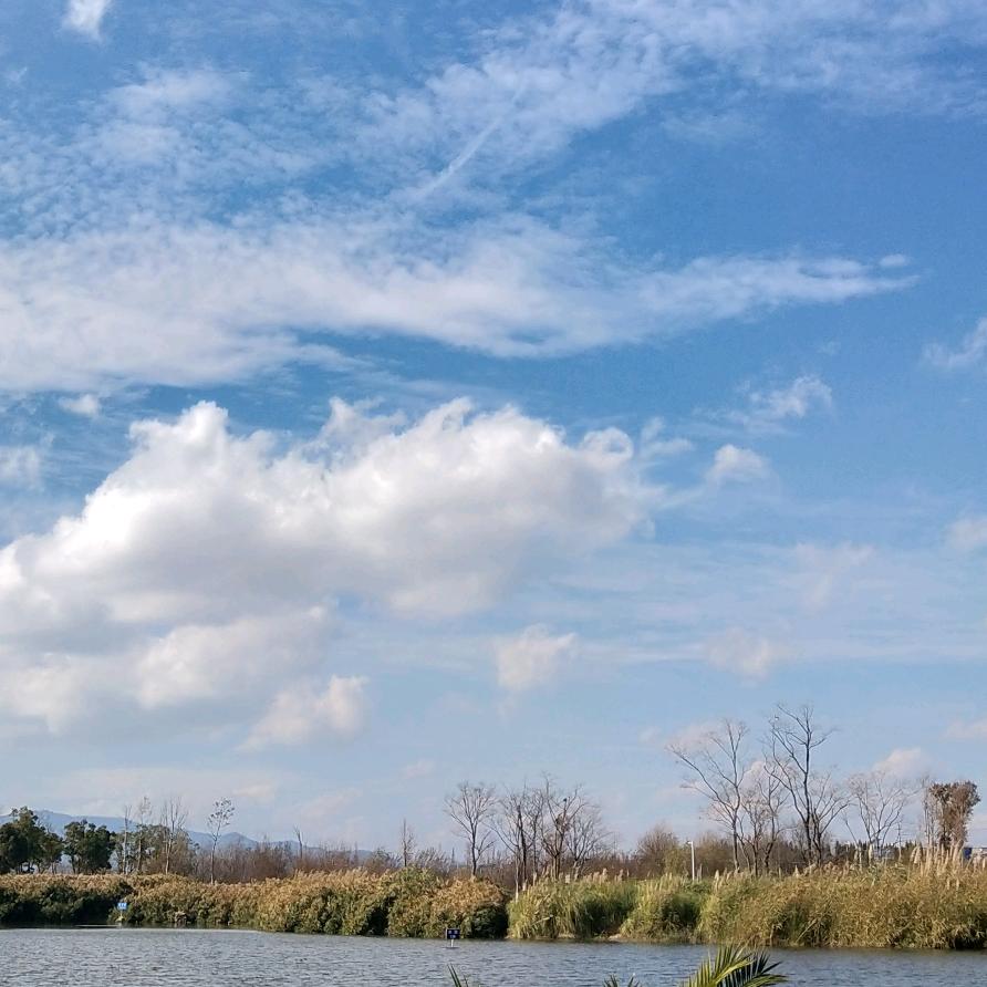 谁好看给谁点赞