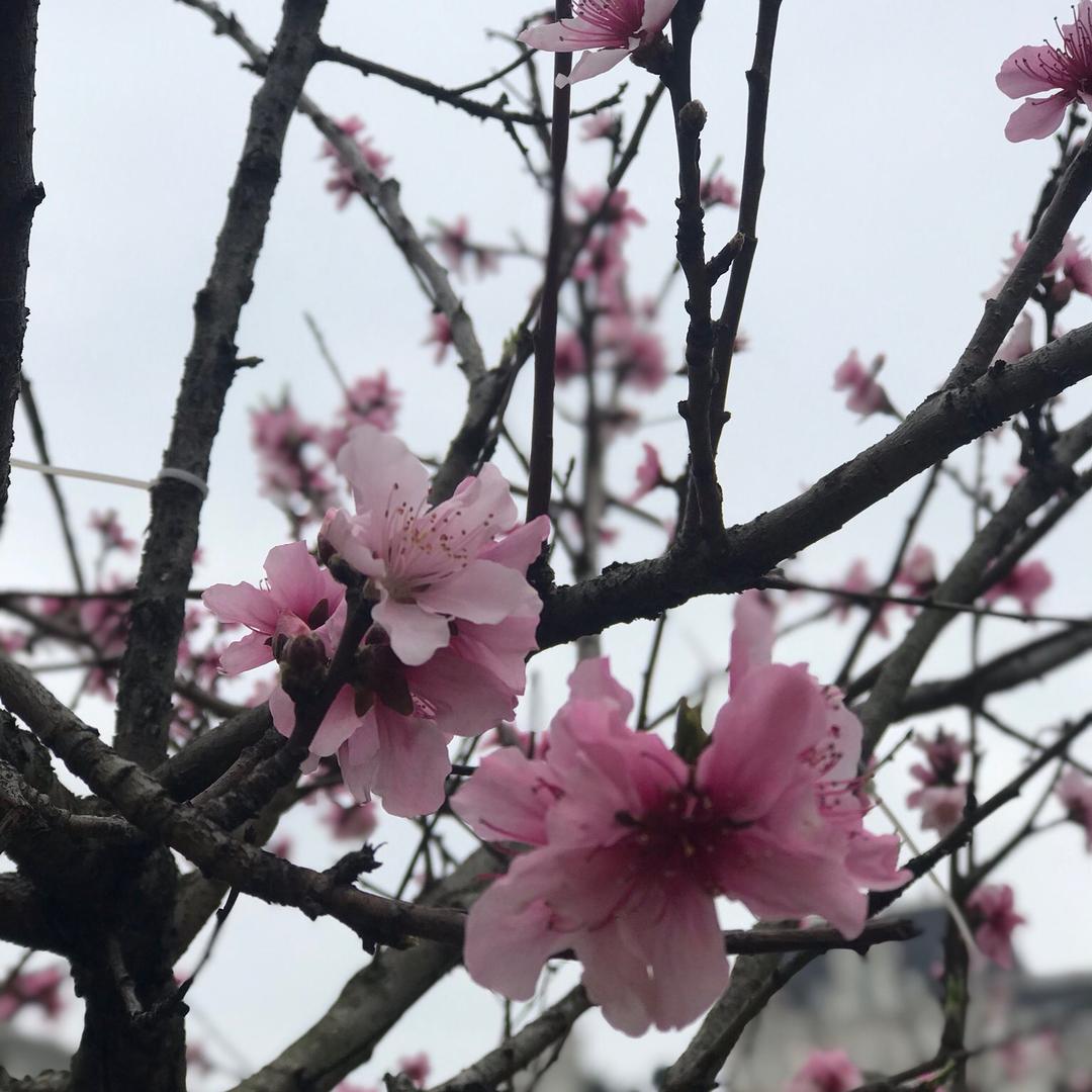 心静