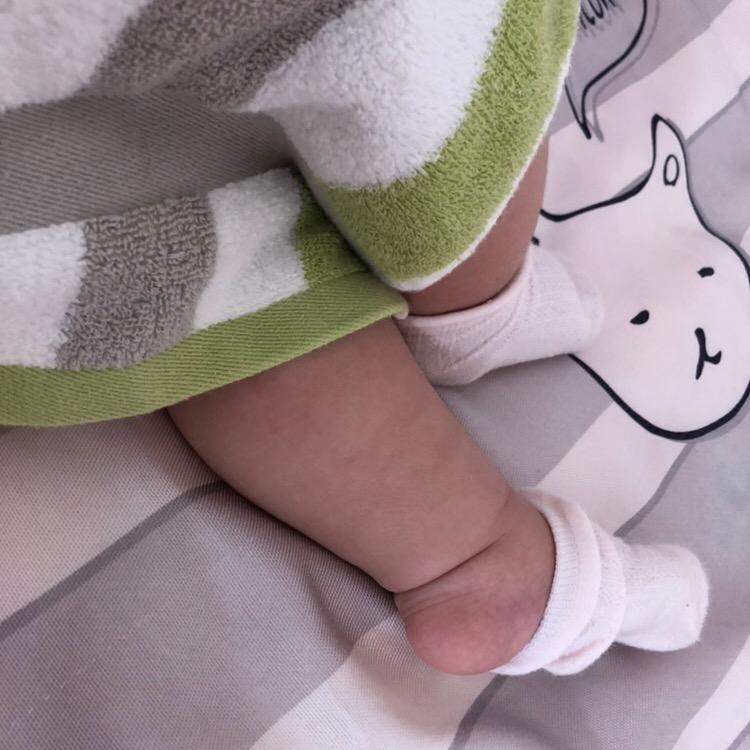 小萌是吃货