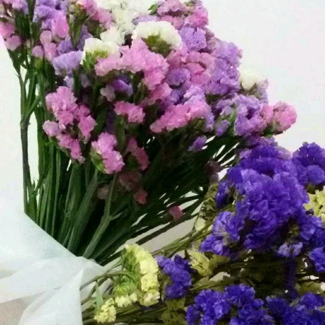 爱自己所爱🌺️🌺️