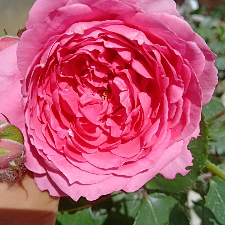 余生只为自己活