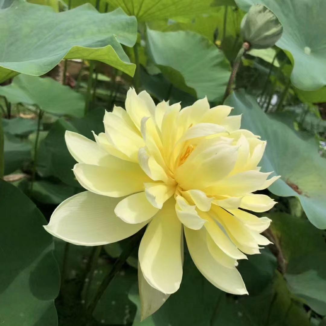 ^_^明天会更好^_^